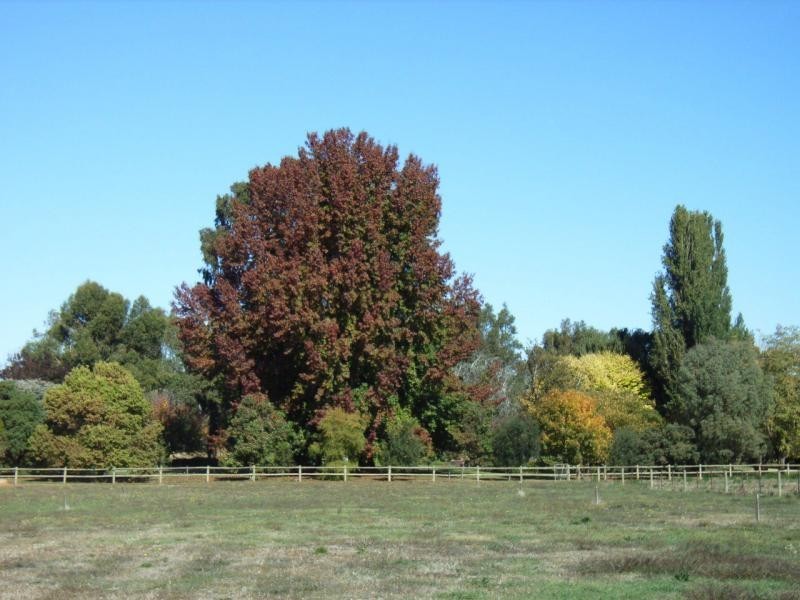 534 Cobram South Road, Cobram VIC 3644