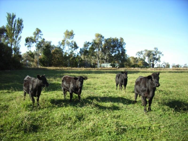 534 Cobram South Road, Cobram VIC 3644