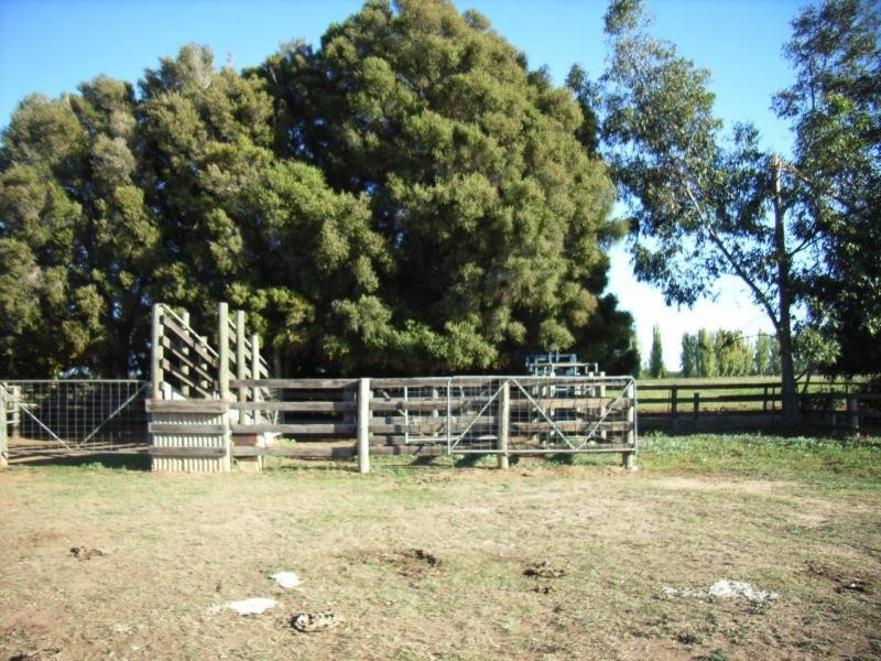 534 Cobram South Road, Cobram VIC 3644