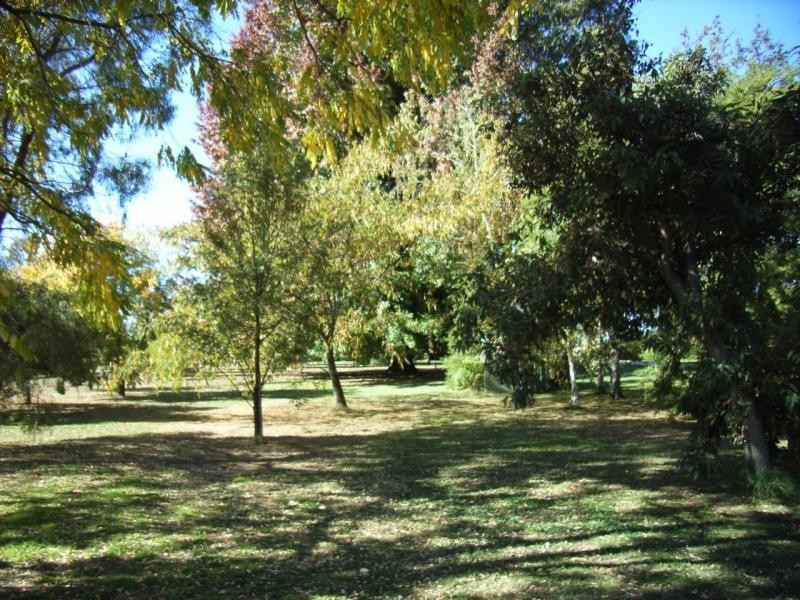 534 Cobram South Road, Cobram VIC 3644