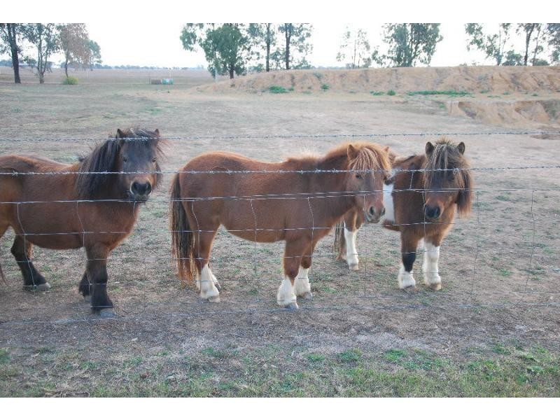 84 Telford/Yarrawonga Road, Yarrawonga VIC 3730