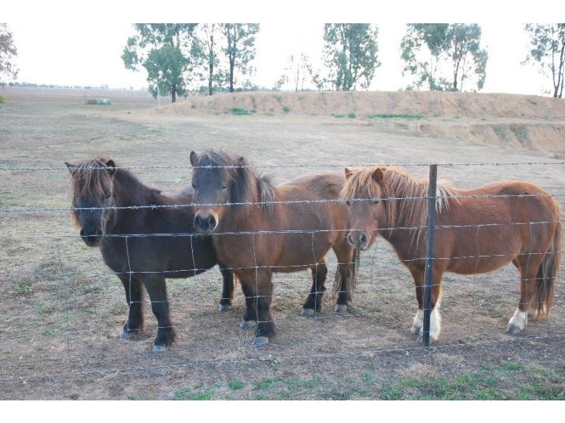 84 Telford/Yarrawonga Road, Yarrawonga VIC 3730