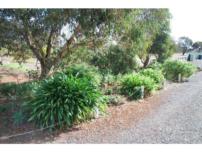 35 Meyers Street, Bearii VIC 3641