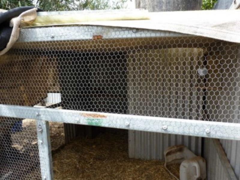 56 Wondah Street, Cobram VIC 3644