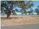 00 Waaia – Bearii Road, Bearii VIC 3641