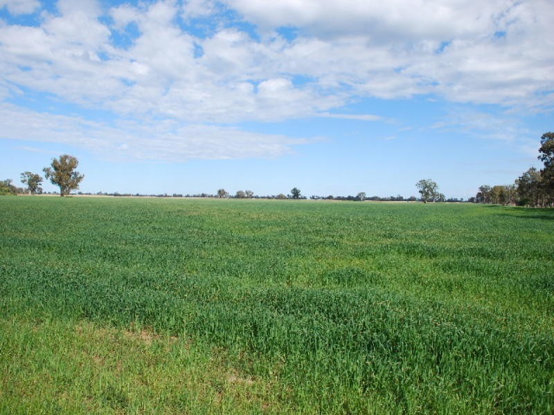 00 Waaii – Bearii Road, Bearii VIC 3641
