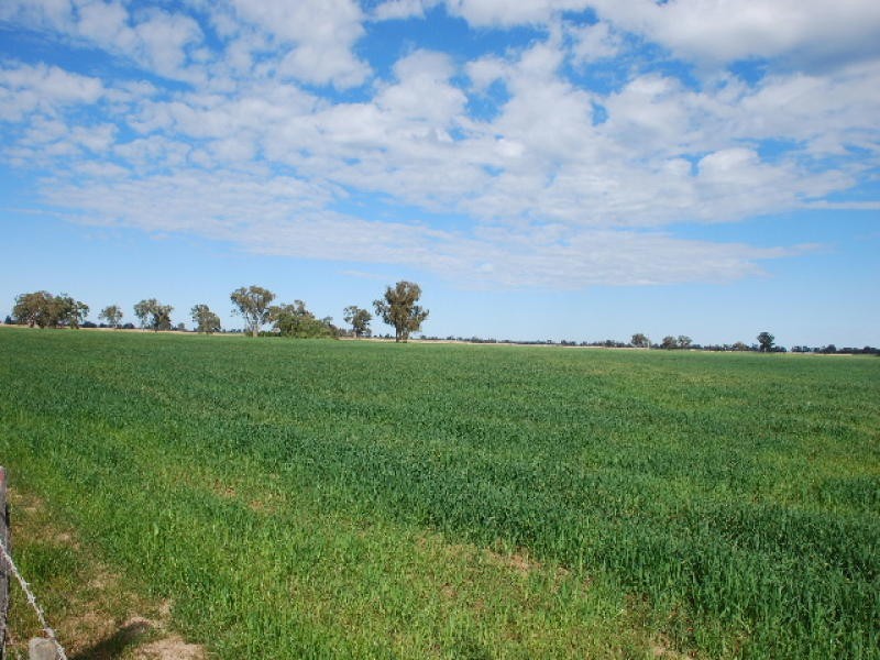 00 Waaii – Bearii Road, Bearii VIC 3641