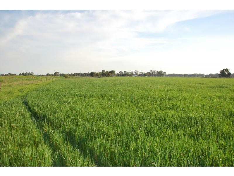 673 Hendys Road, Numurkah VIC 3636