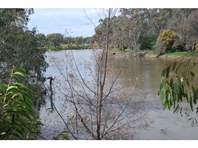 74 Quicks Road, Barooga NSW 3644
