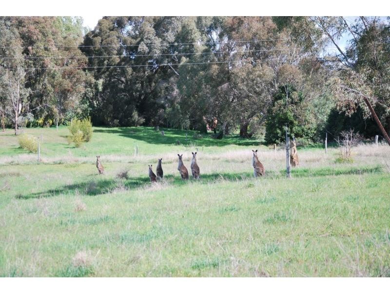 74 Quicks Road, Barooga NSW 3644