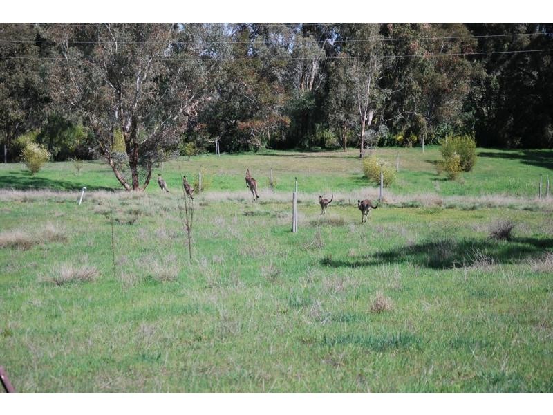 74 Quicks Road, Barooga NSW 3644