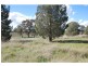 74 Quicks Road, Barooga NSW 3644