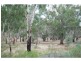 20 Burke Court, Cobram VIC 3644