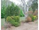 111 Murray Road, Koonoomoo VIC 3644