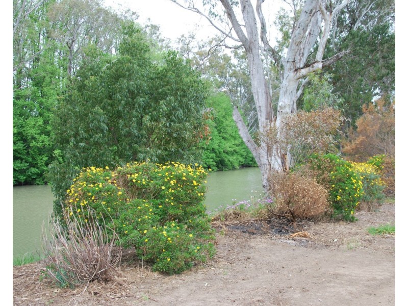 111 Murray Road, Koonoomoo VIC 3644