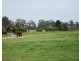 111 Murray Road, Koonoomoo VIC 3644
