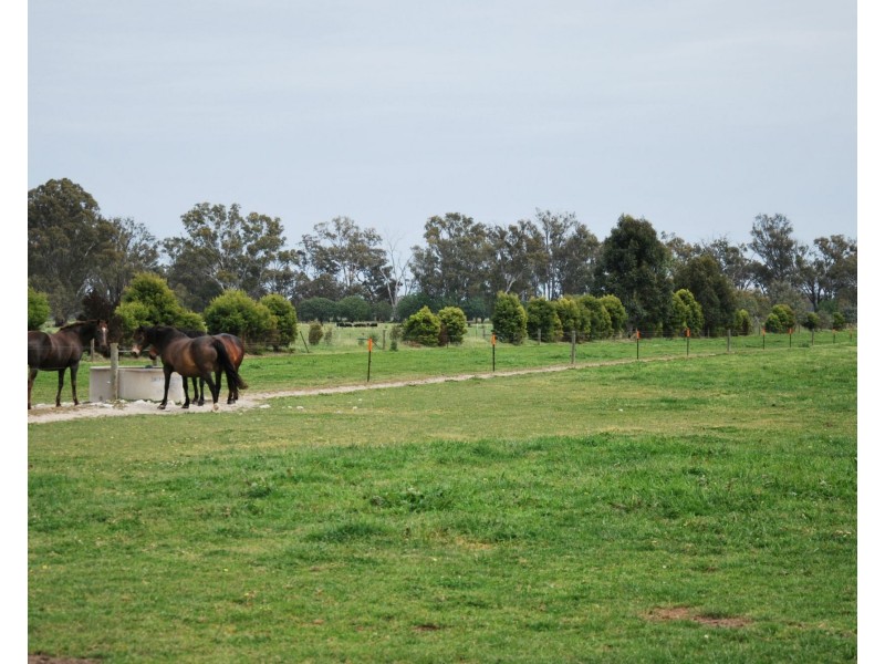 111 Murray Road, Koonoomoo VIC 3644