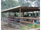 111 Murray Road, Koonoomoo VIC 3644