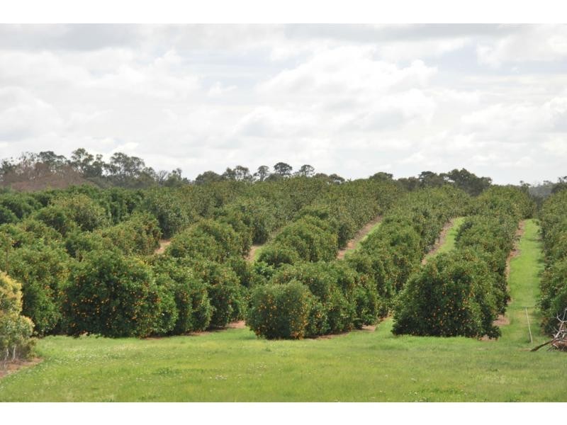 00 Torgannah Road, Mayview Citrus, Koonoomoo VIC 3644