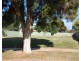 5 Cedar Court, Cobram VIC 3644