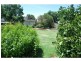 33 Cobram Street, Berrigan NSW 2712