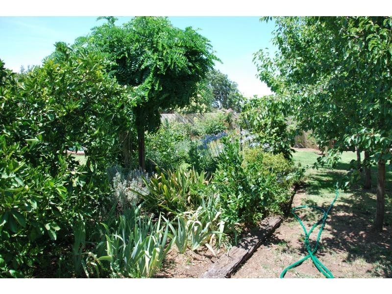 33 Cobram Street, Berrigan NSW 2712