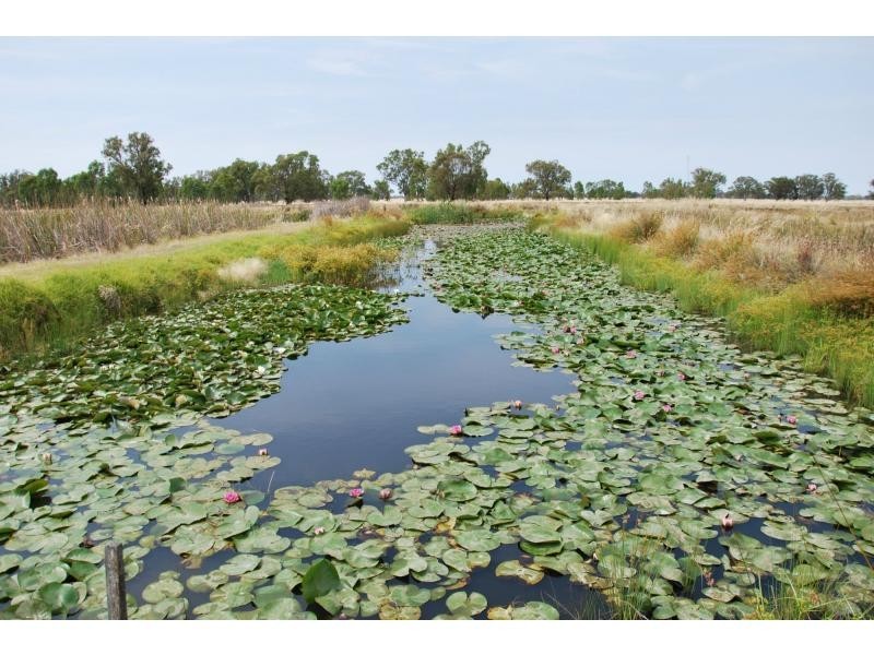 478 Williams Road, Strathmerton VIC 3641