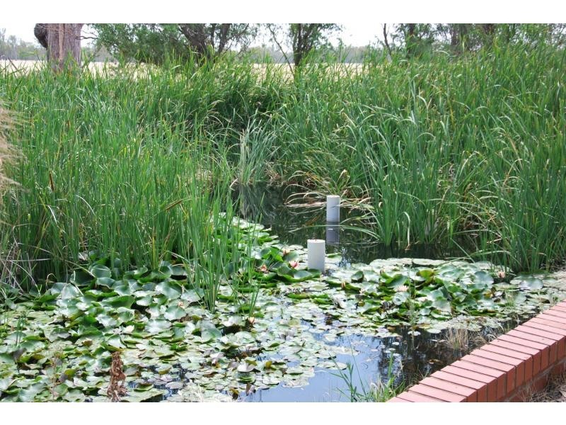 478 Williams Road, Strathmerton VIC 3641