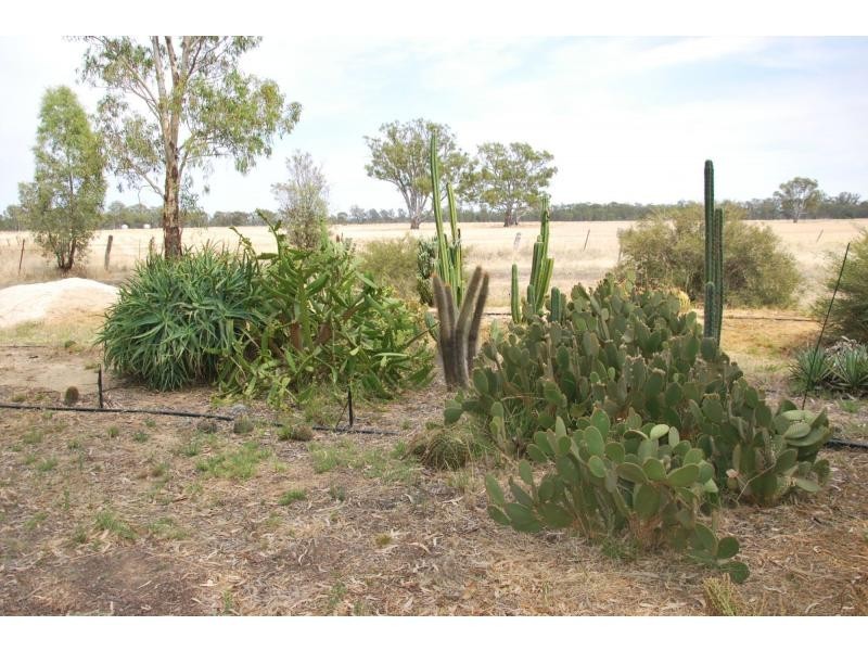 478 Williams Road, Strathmerton VIC 3641