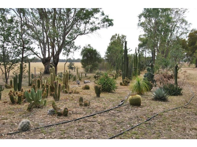 478 Williams Road, Strathmerton VIC 3641