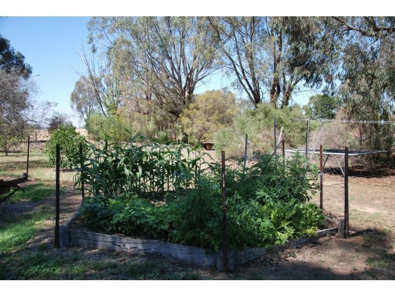 6 William Street, Bearii VIC 3641