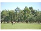 7316 Goulburn Valley Highway, Koonoomoo VIC 3644