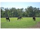 7316 Goulburn Valley Highway, Koonoomoo VIC 3644