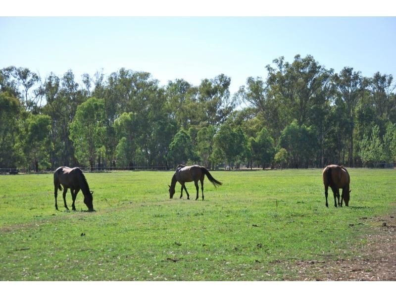 7316 Goulburn Valley Highway, Koonoomoo VIC 3644