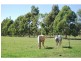 7316 Goulburn Valley Highway, Koonoomoo VIC 3644