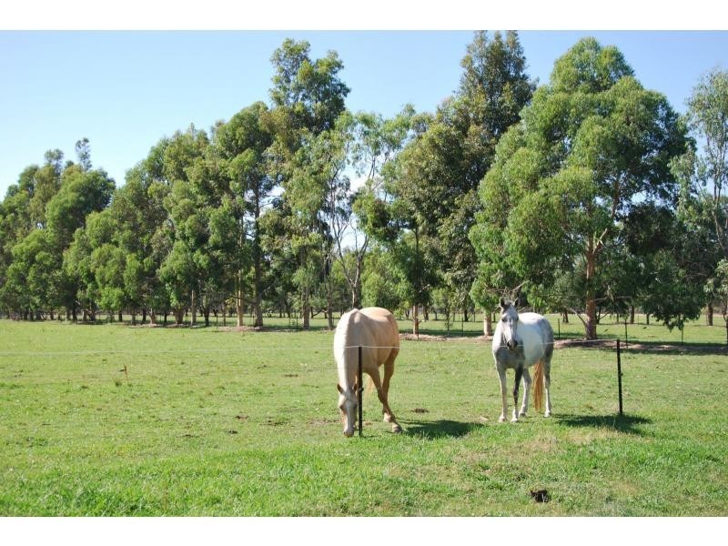 7316 Goulburn Valley Highway, Koonoomoo VIC 3644