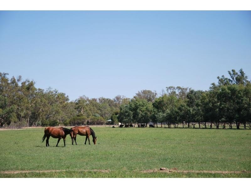 7316 Goulburn Valley Highway, Koonoomoo VIC 3644