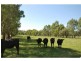 7316 Goulburn Valley Highway, Koonoomoo VIC 3644
