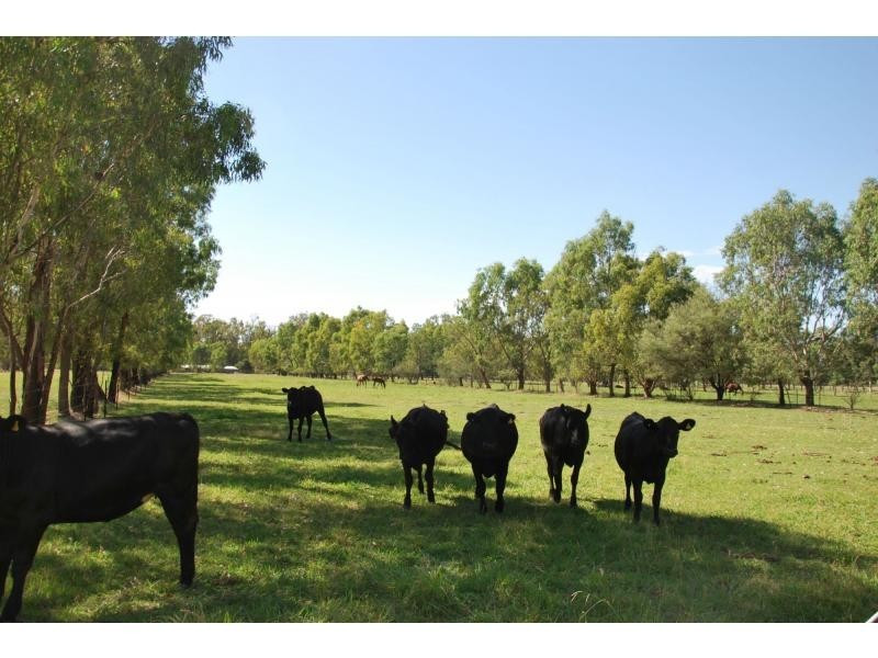 7316 Goulburn Valley Highway, Koonoomoo VIC 3644