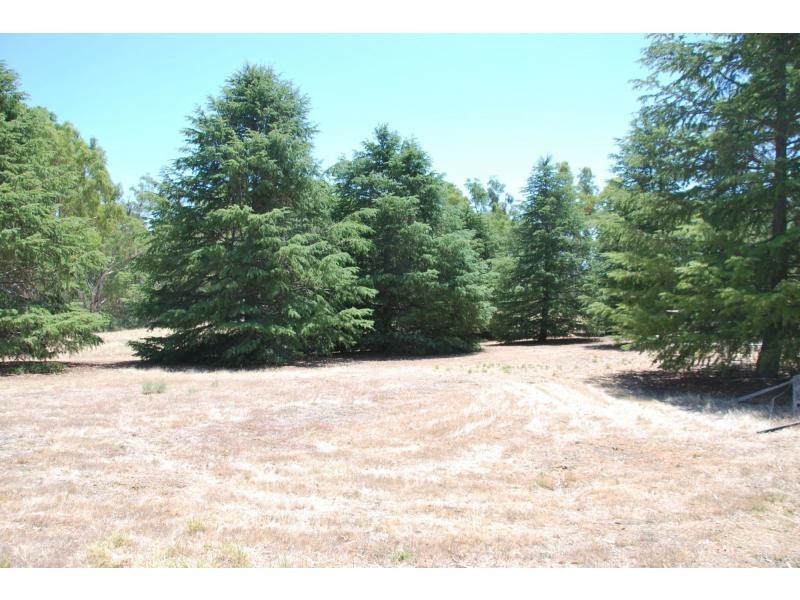 884 Ulupna Bridge Road, Ulupna Island, Ulupna VIC 3641