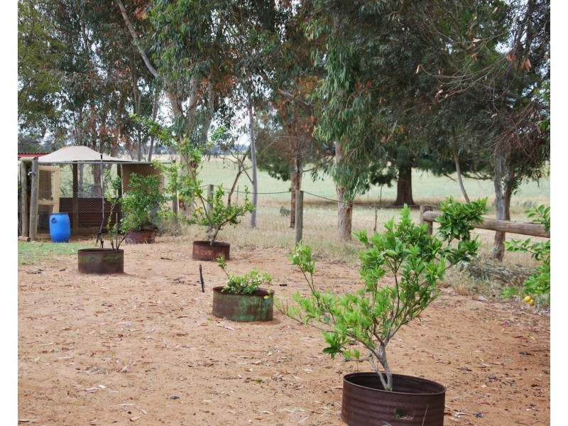 Lot 19 Platypus Drive, Barooga NSW 3644