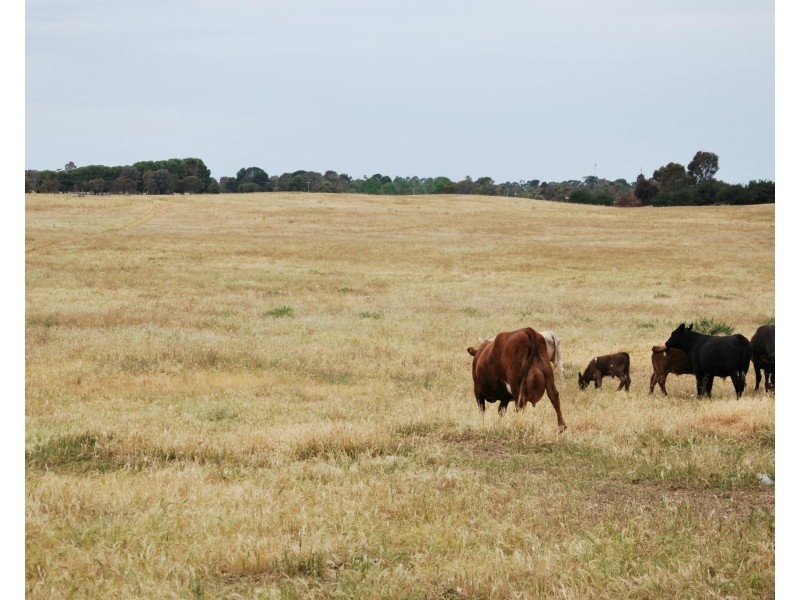 Lot 19 Platypus Drive, Barooga NSW 3644