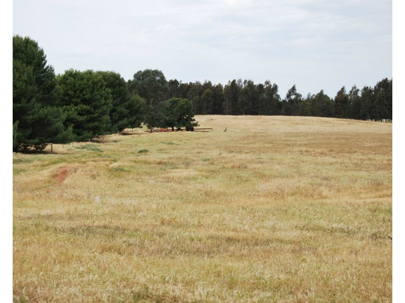 Lot 19 Platypus Drive, Barooga NSW 3644