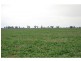 276 Back Barooga Road, Barooga VIC 3644