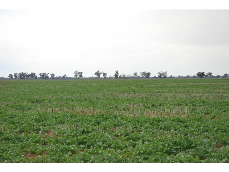 276 Back Barooga Road, Barooga VIC 3644