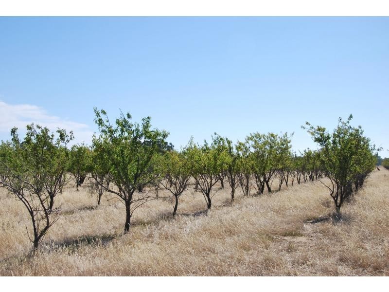 1242 Murray Valley Highway, Yalca VIC 3637