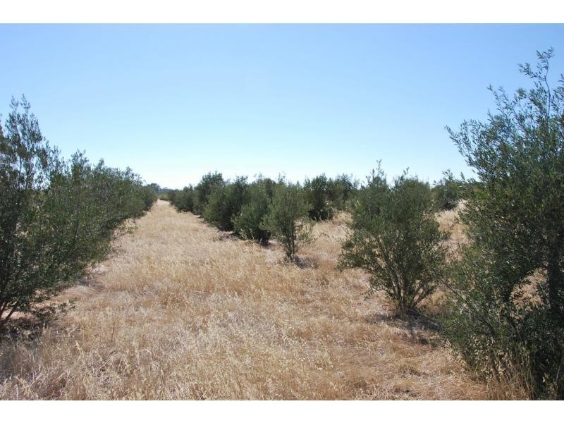 1242 Murray Valley Highway, Yalca VIC 3637