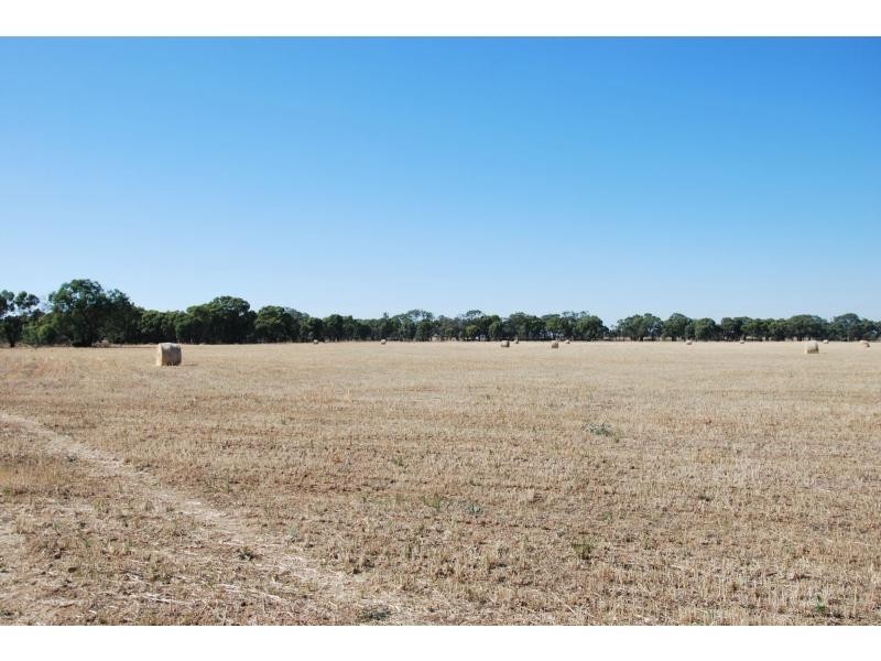 1242 Murray Valley Highway, Yalca VIC 3637