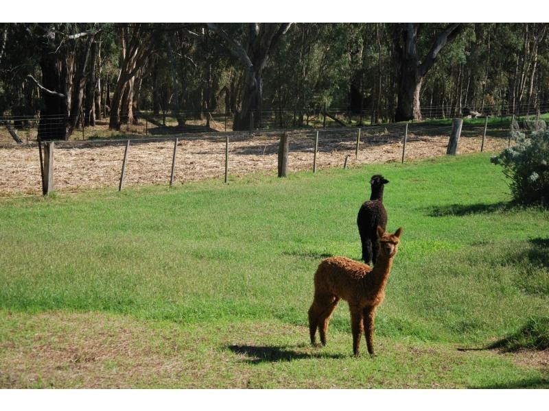 76 Platypus Drive, Barooga VIC 3644