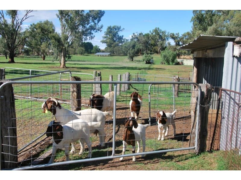 76 Platypus Drive, Barooga VIC 3644